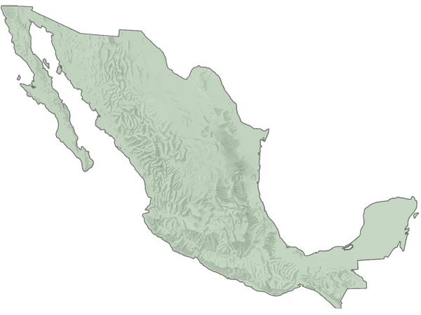 Mexican Bird Resurvey Project